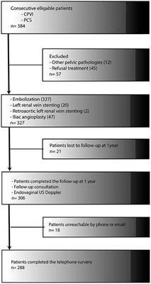 Endovascular Treatment of Pelvic Congestion Syndrome: Visual Analog Scale Follow-Up